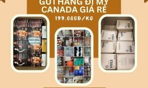 Gửi hàng sang Mỹ , Canada giá rẻ tại Tiến Việt Express