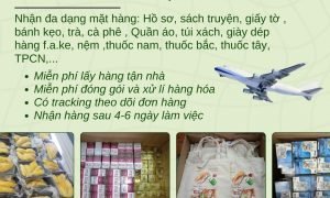 dịch vụ gửi hàng đi MỸ VÀ CANADA giá rẻ tại Tiến Việt