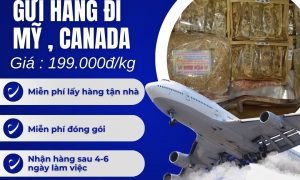 Gửi hàng càng nhiều giá càng rẻ VIỆT NAM - MỸ , CANADA