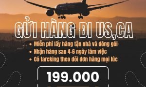 Gửi hàng đi Mỹ , Canada tại Tiến Việt Express uy tín