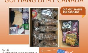 Dịch vụ chuyên gửi hàng đi Mỹ và Canada giá siêu rẻ