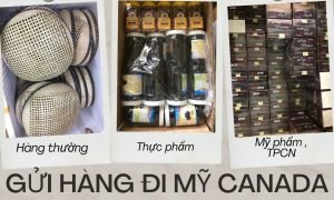 Gửi hàng đi Mỹ và Canada nhanh chóng giá rẻ