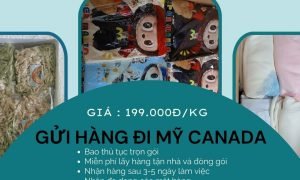 Chủ shop kinh doanh quốc tế từ Việt Nam sang Mỹ và Canada liên hệ Tiến Việt ngay