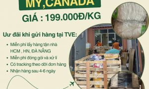 Gửi hàng đi nước ngoài gửi ngay Tiến Việt