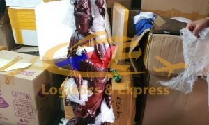 EM NHẬN GỬI HÀNG ĐI MỸ, CANADA VỚI GIÁ SIÊU RẺ 199.000Đ/KG
