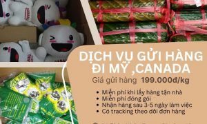 Gửi hàng đi Mỹ Canada cùng Tiến Việt