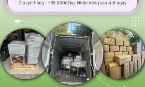 Gửi hàng đi Mỹ, Canada giá rẻ chỉ 199.000đ/kg uy tín tại HCM