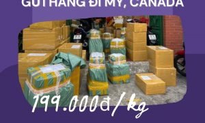 Gửi hàng đi Mỹ & Canada giá rẻ chỉ có ở Tiến Việt