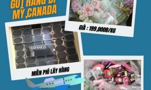 Gửi hàng từ Việt Nam đi Mỹ, Canada tại TVE