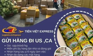 Gửi đặc sản quê hương đi Mỹ và Canada tại Tiến Việt Express