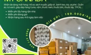 Gửi hàng đi Mỹ và Canada tại Tiến Việt Express chất lượng , nhanh chóng