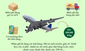 Gửi hàng đi Mỹ, Canada giá rẻ 209.000đ/kg