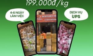 Gửi hàng đi Mỹ, Canada giá 199.000đ/kg giá siêu rẻ đi nhanh