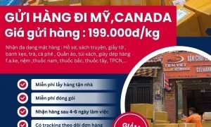 Chọn dịch vụ gửi hàng đi Mỹ và Canada liên hệ Tiến Việt ngay