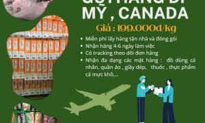 Em chuyên nhận gửi hàng đi Mỹ và Canada giá rẻ nhanh chóng