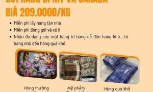 Gửi hàng đi Mỹ, Canada giá rẻ , bay nhanh chỉ 209.000đ/kg