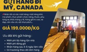 Tiến Việt Exptress - Nhận gửi hàng đi Mỹ, Canada