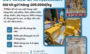 Gửi hàng đi Mỹ, Canada giá rẻ 209.000đ/kg