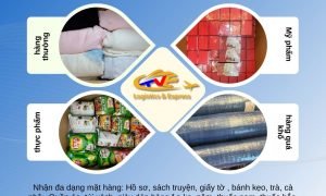 Gửi hàng đi Mỹ , Canada siêu dễ siêu nhanh
