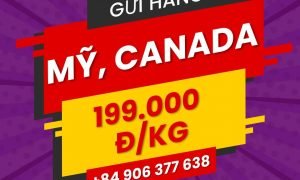 Vận chuyển hàng đi Mỹ và Canada giá rẻ