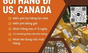 Gửi hàng đi Mỹ và Canada an toàn 100%
