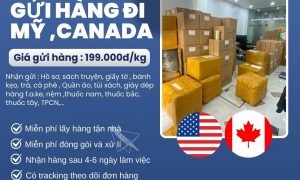 Tiến Việt Express chuyên nhận gửi hàng đi Mỹ và Canada