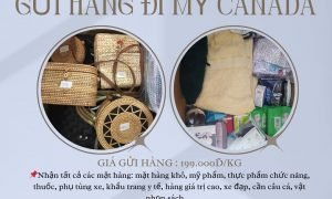 Dịch vụ gửi hàng đi Mỹ,Canada giá rẻ - đi nhanh