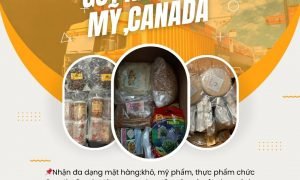 Tiến Việt Express nhận gửi hàng đi Mỹ và Canada