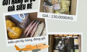Em nhận gửi hàng đi Úc giá siêu rẻ siêu nhanh