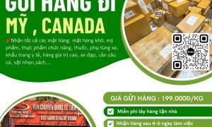 Gửi hàng đi Mỹ, Canada giá CHỈ 199.000Đ/KG