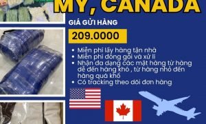 Gửi hàng đi Mỹ, Canada giá rẻ chỉ 209.000đ/kg đi nhanh giá rẻ