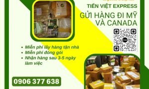 Nhận gửi hàng VN đi Mỹ Canada giá rẻ nhanh chóng