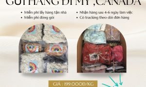 Dịch vụ gửi hàng đi Mỹ và Canada tại Tiến Việt Express