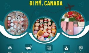 Gửi hàng đi Mỹ , Canada nhanh chóng tiết kiệm