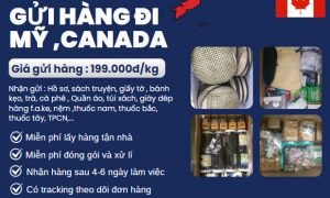 Gửi hàng đi Mỹ và Canada hàng to hàng nhỏ liên hệ TVE ngay