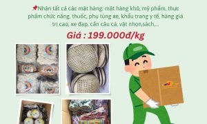 Tiến Việt nhận gửi hàng đi Mỹ và Canada