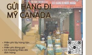 Gửi hàng đi Mỹ , Canada siêu nhanh siêu dễ