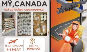 Gửi hàng đi Mỹ, Canada giá rẻ.