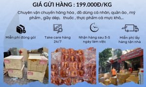 Gửi Hàng Đi Mỹ Nhanh Chóng – An Toàn – Giá Cạnh Tranh