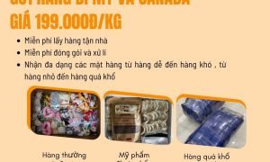 Gửi hàng đi Mỹ, Canada giá rẻ tại Tiến Việt Express.