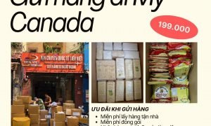 Gửi hàng từ Việt Nam sang Mỹ, Canada - Giá chỉ 199.000đ/kg