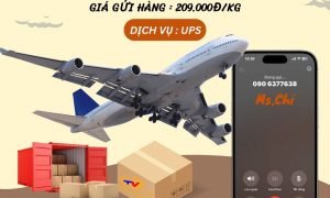 Gửi hàng đi Mỹ, Canada giá rẻ chỉ 209.000đ/kg