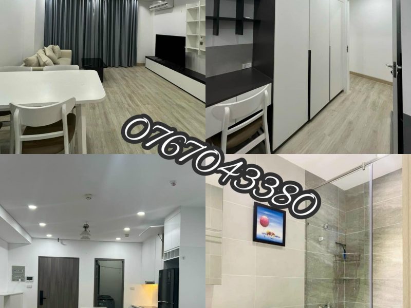 can-cho-thue-can-ho-dragon-hill-2-can-3pn-2wc