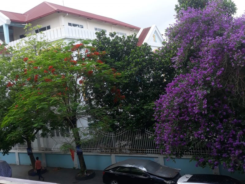 cho-thue-nha-khu-97-bach-dang-ha-ly-hong-bang-hai-phong