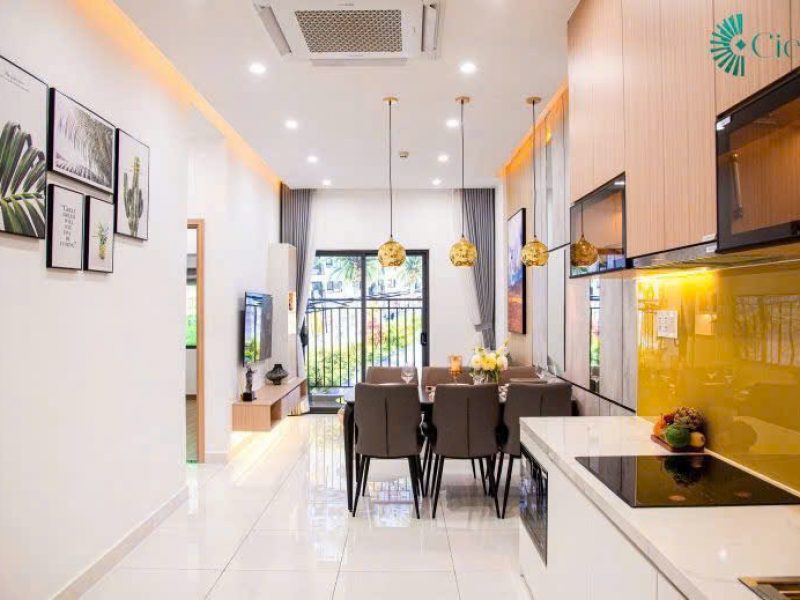 can-ho-2pn-2wc-noi-khu-4ho-boi-duy-nhat-o-trung-tam-tay-sg-tra-truoc-250tr