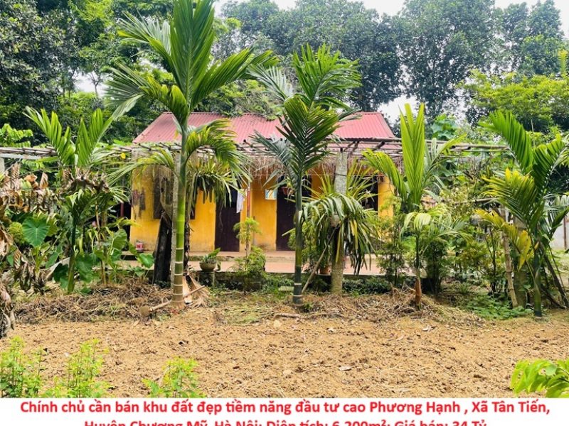chinh-chu-can-ban-khu-dat-dep-tiem-nang-dau-tu-cao-phuong-hanh-xa-tan-tien-