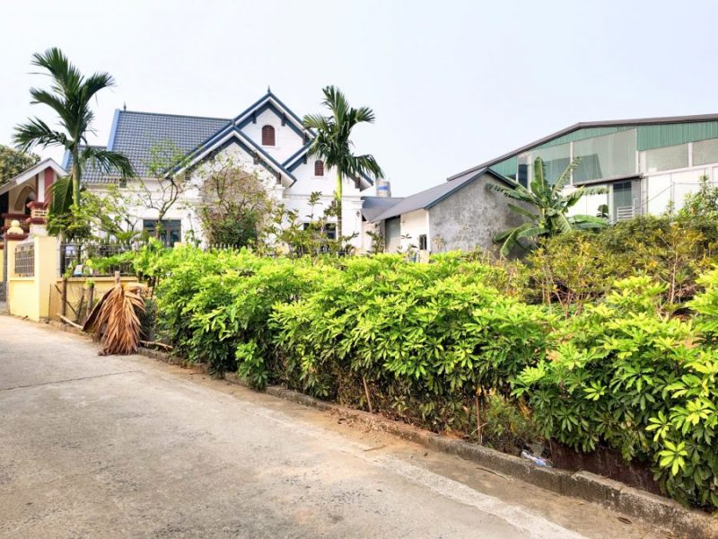 ban-lo-goc-530m2-full-tho-sat-dai-hoc-quoc-gia-gia-nhinh-12tr-m2