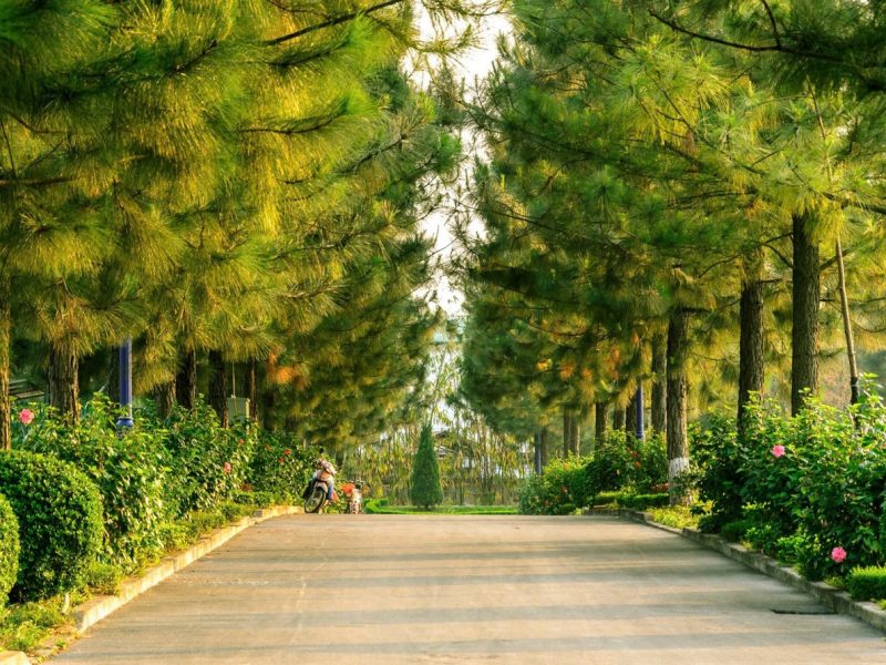 so-huu-biet-thu-400m2-the-phoenix-garden-dan-phuong-da-lat-thu-nho-giua-long