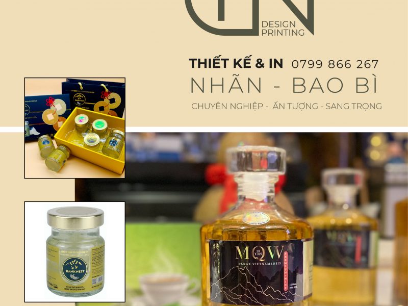thiet-ke-in-ho-so-nang-luc-company-profile-pgn-production