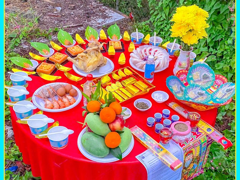 tim-hieu-ve-y-nghia-mam-cung-dong-tho-la-gi-